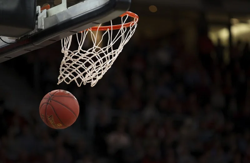 Interpreters and Professional Sports